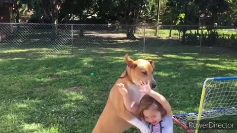 Funny dog jumping And land on little girl 🤣🤣