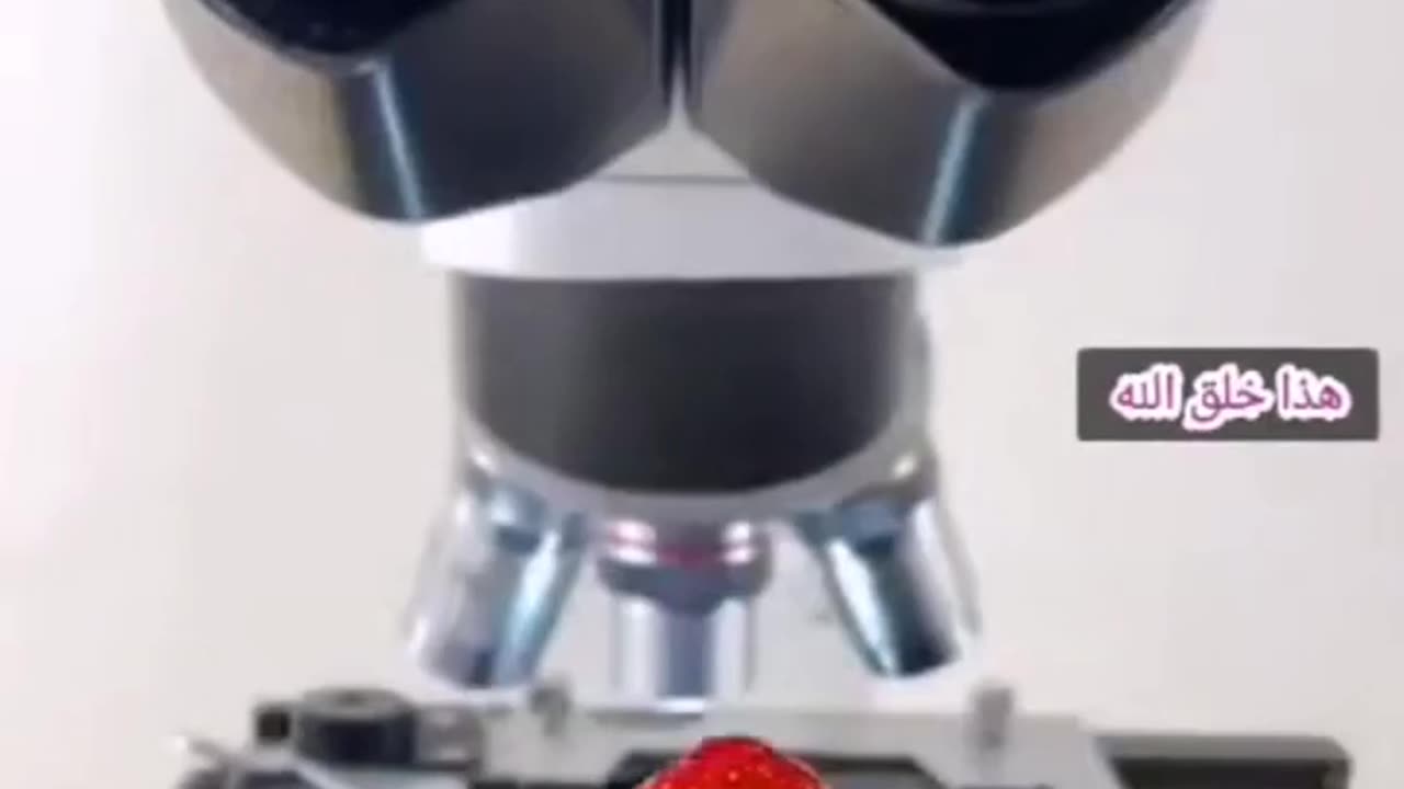 Unbelievable thing under Microscopy