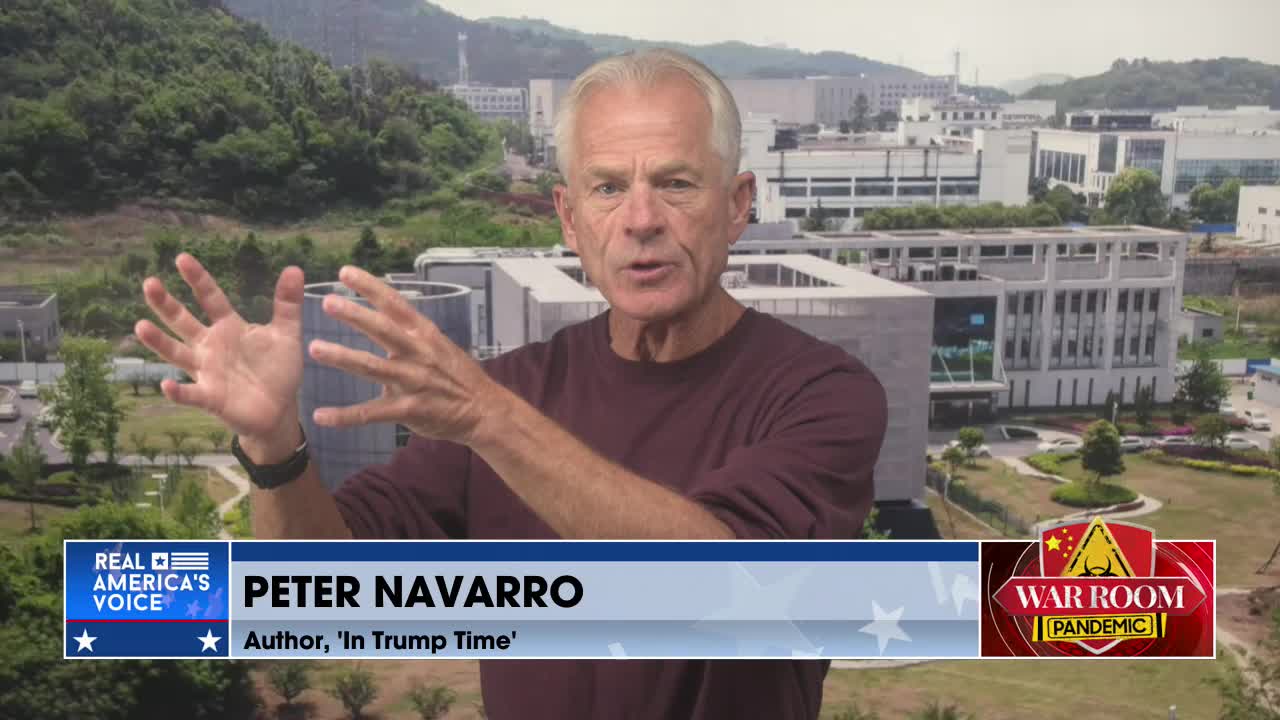 NAVARRO: 2020 Election Was Absolutely Stolen Through Perkins Coie