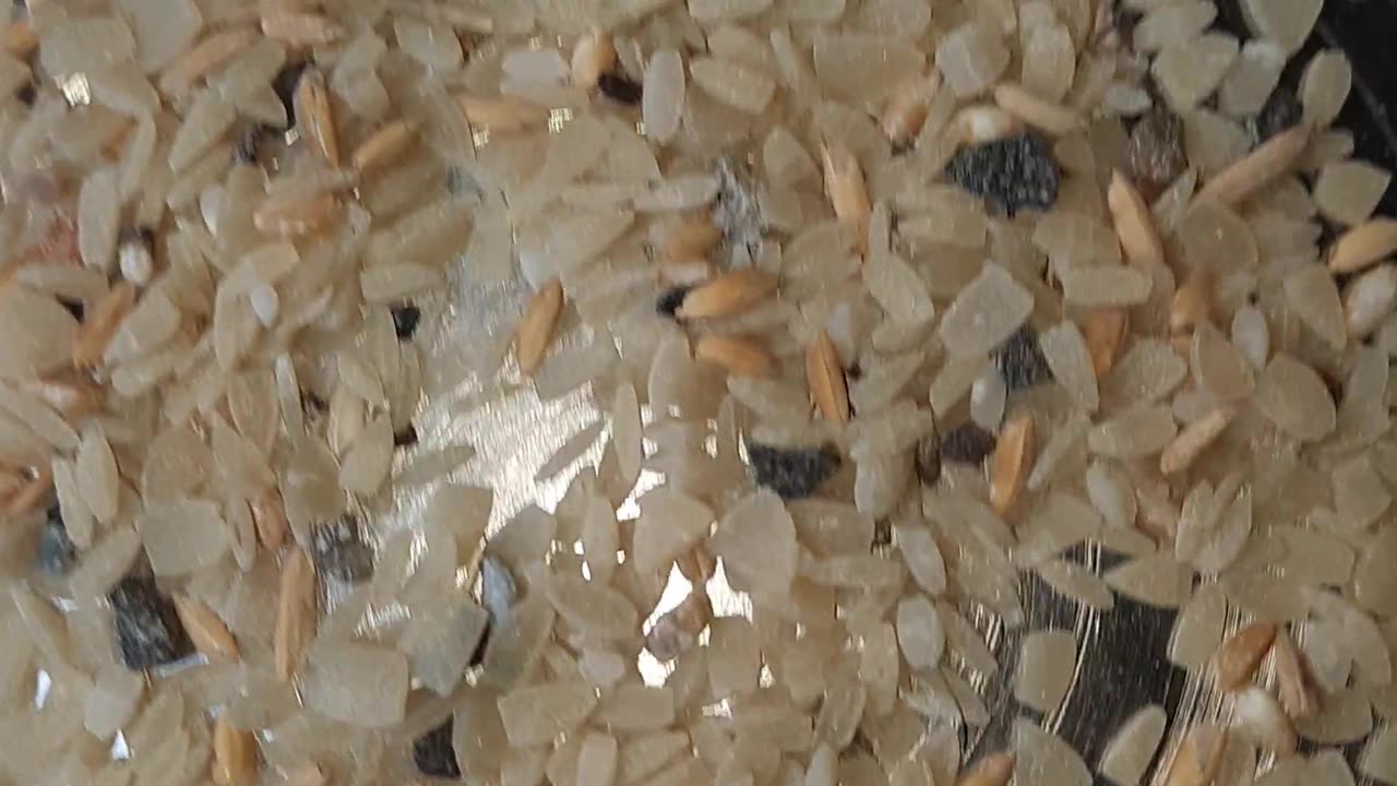 sand is mixed in rice