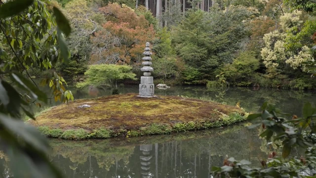 Kyoto Japan Mystical Bamboo Forest Japan