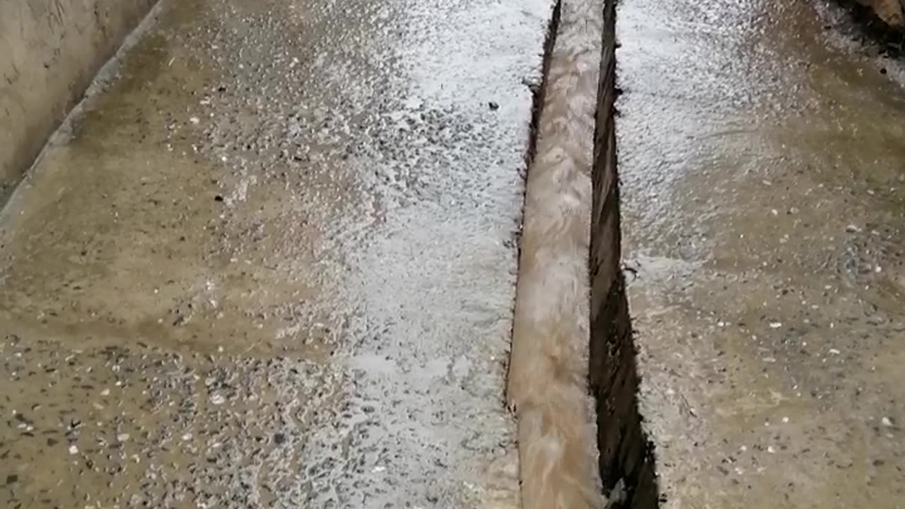 Rainy Day at Village