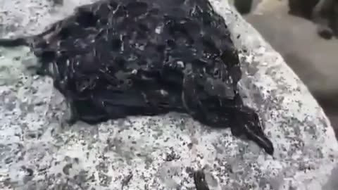 This Black Mysterious Substance Is Called "Black Goo".