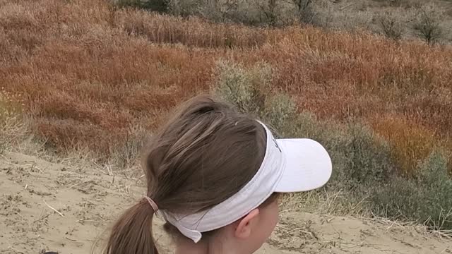 Is Wyoming beautiful