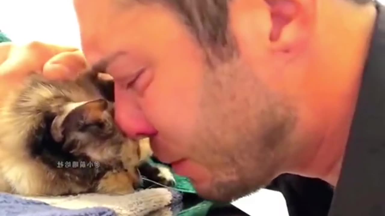 #cats want # to spend time with there owner