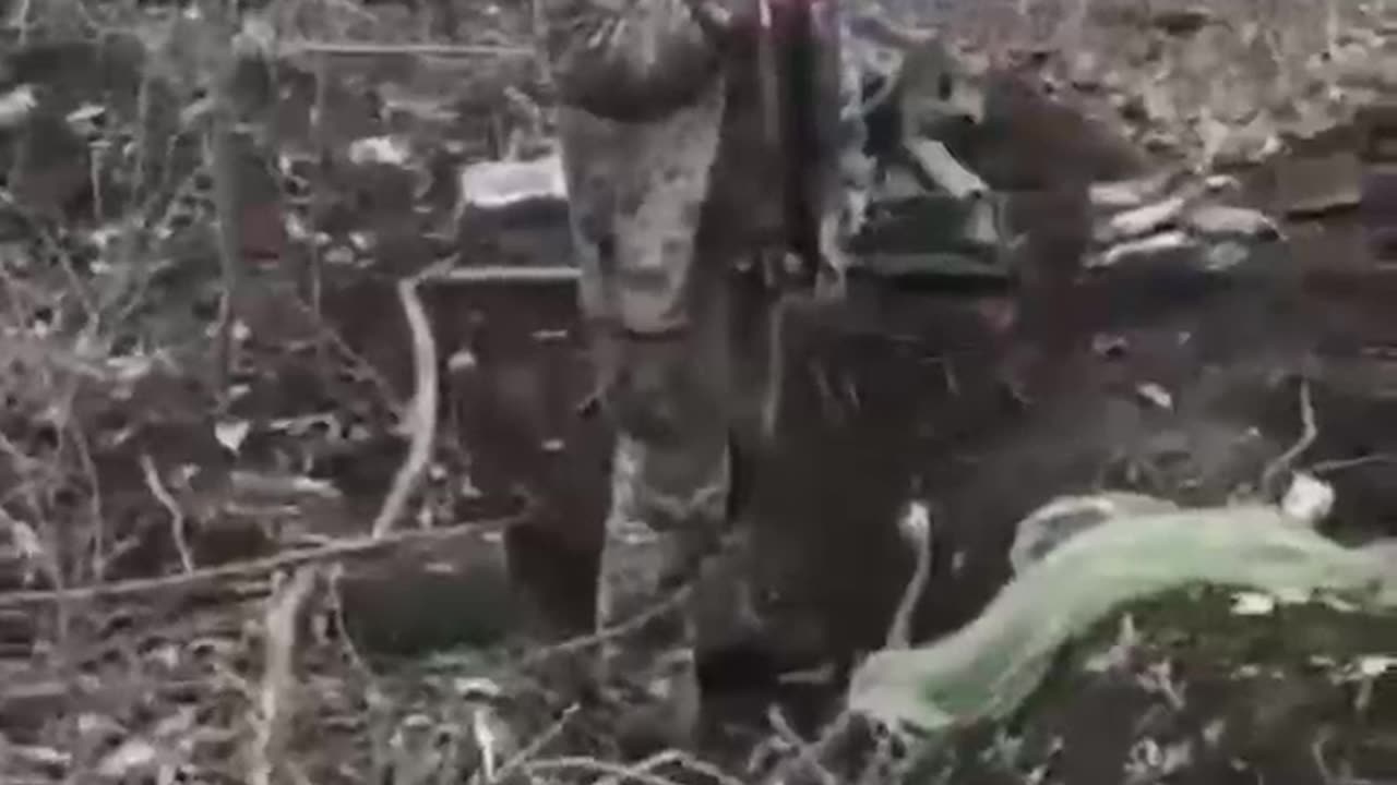 Ukrainian situation right now in microcosm