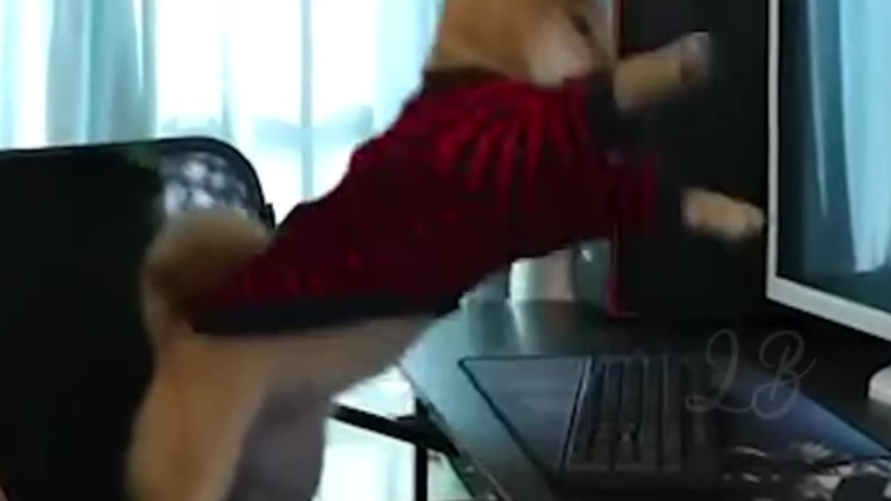 Dog Goes Crazy Funny Moment! 😅 #shorts #funny