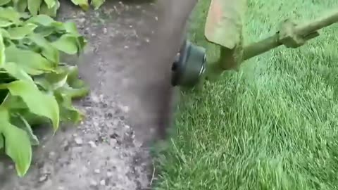 Best grass cutting technology