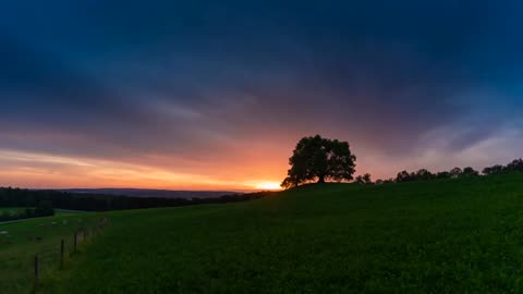 "Experience the Beauty of Nature in Stunning 4K: Explore Our Drone Stock Footage Collection"