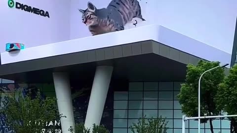 Cute 3D cat Billboard in china 🥰