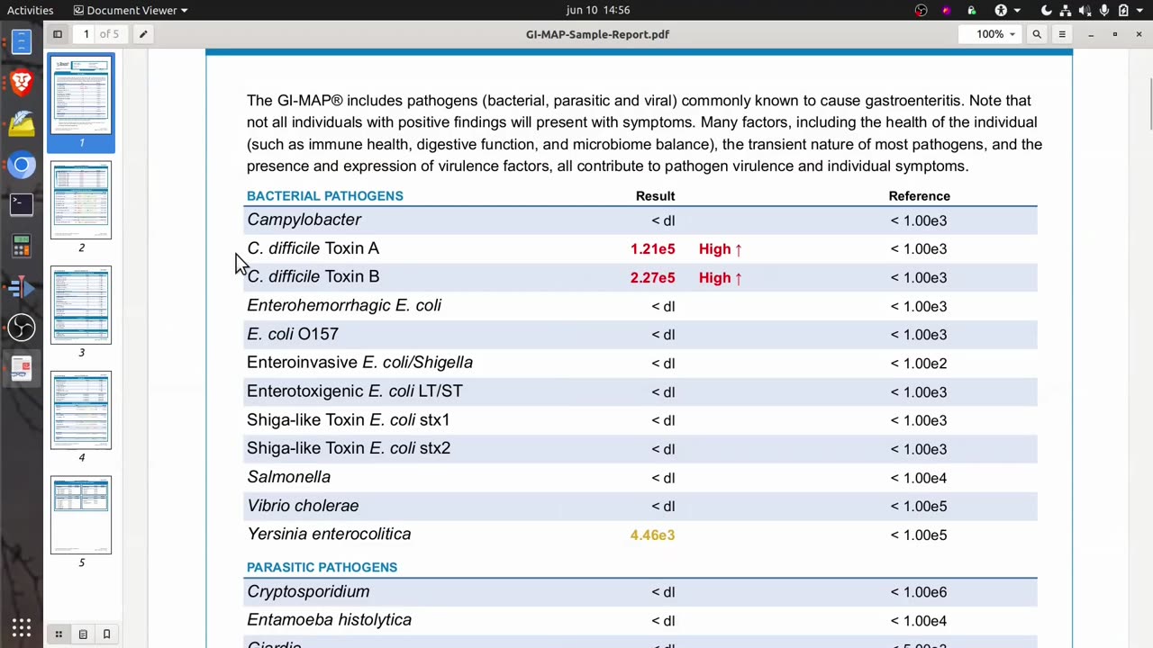 GI-Map - Stool Pathogen Screening - Sample Report