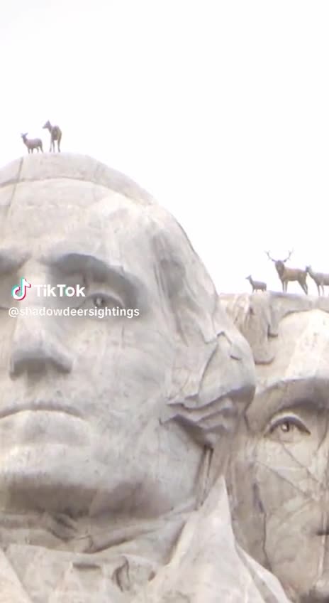 Oh dear Mr President🙄