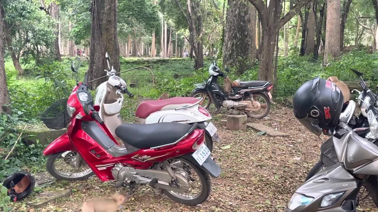 Jella & Jully play on motorbike..