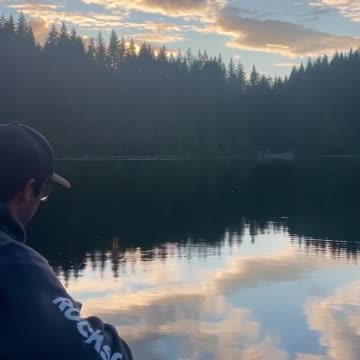 Anti-Loosh Video Number 262. LOOSH is real and bad. Explained below and watch the video