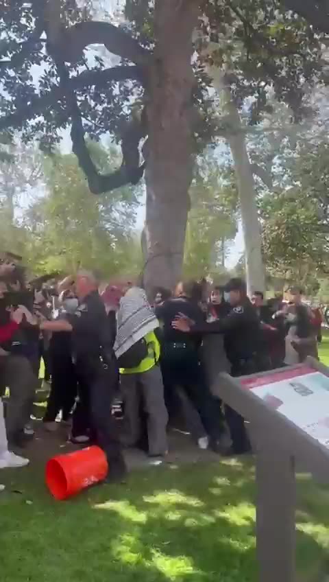 Palestinian Protests Get Violent At The University Of Southern California