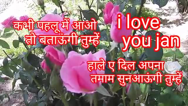 साथ चलने वाली शायरी Romantic shayarientertaineg Rk kumari ki shayari20021 ki mohabbat shayari