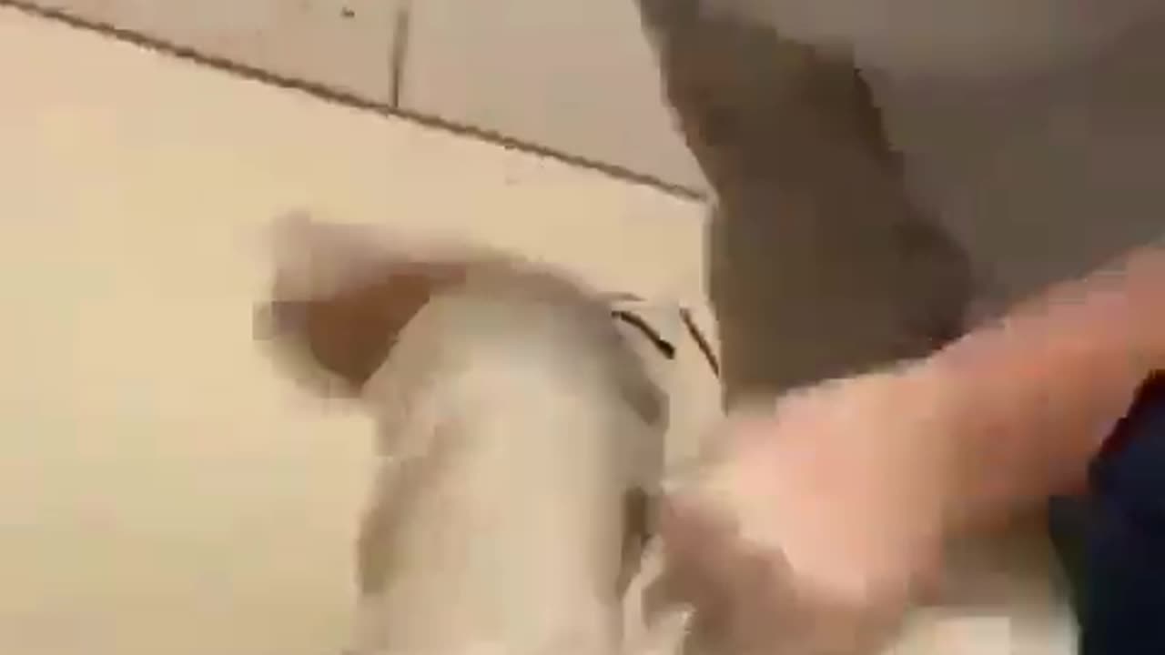 Beating Girl Who Killed Her Friend In Car Accident