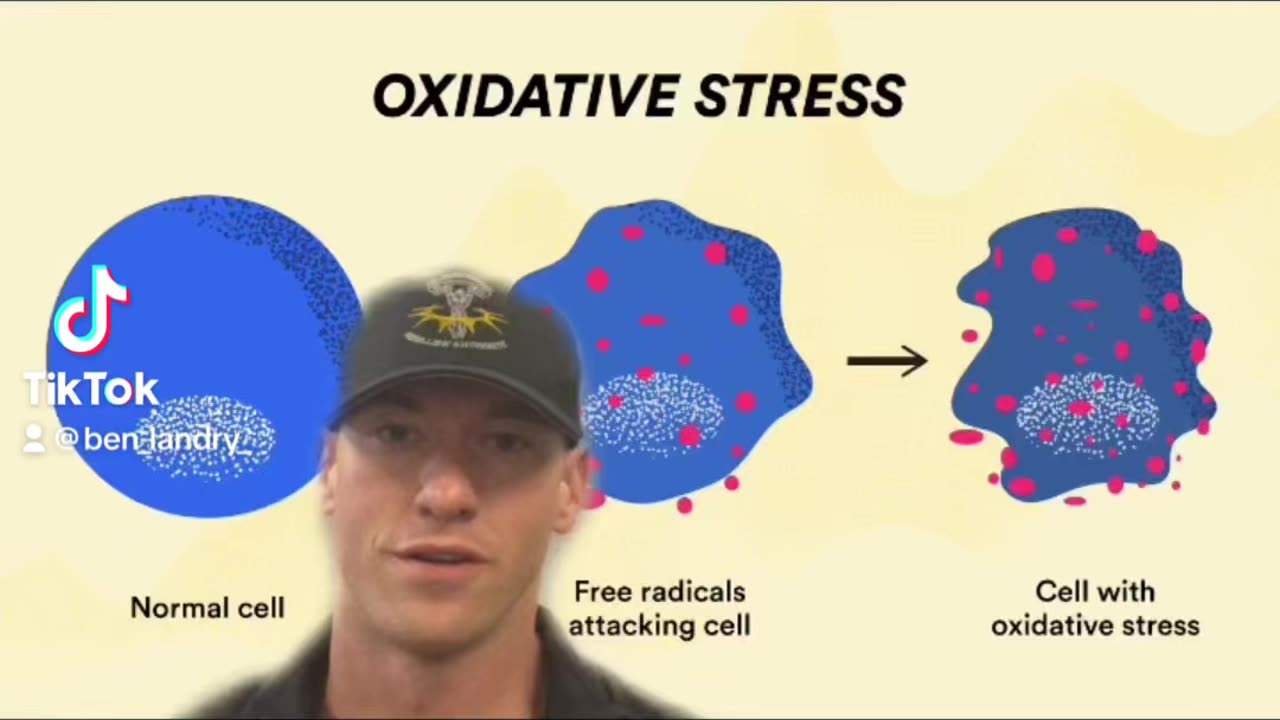 Oxidative Stress