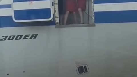 Airplane Door