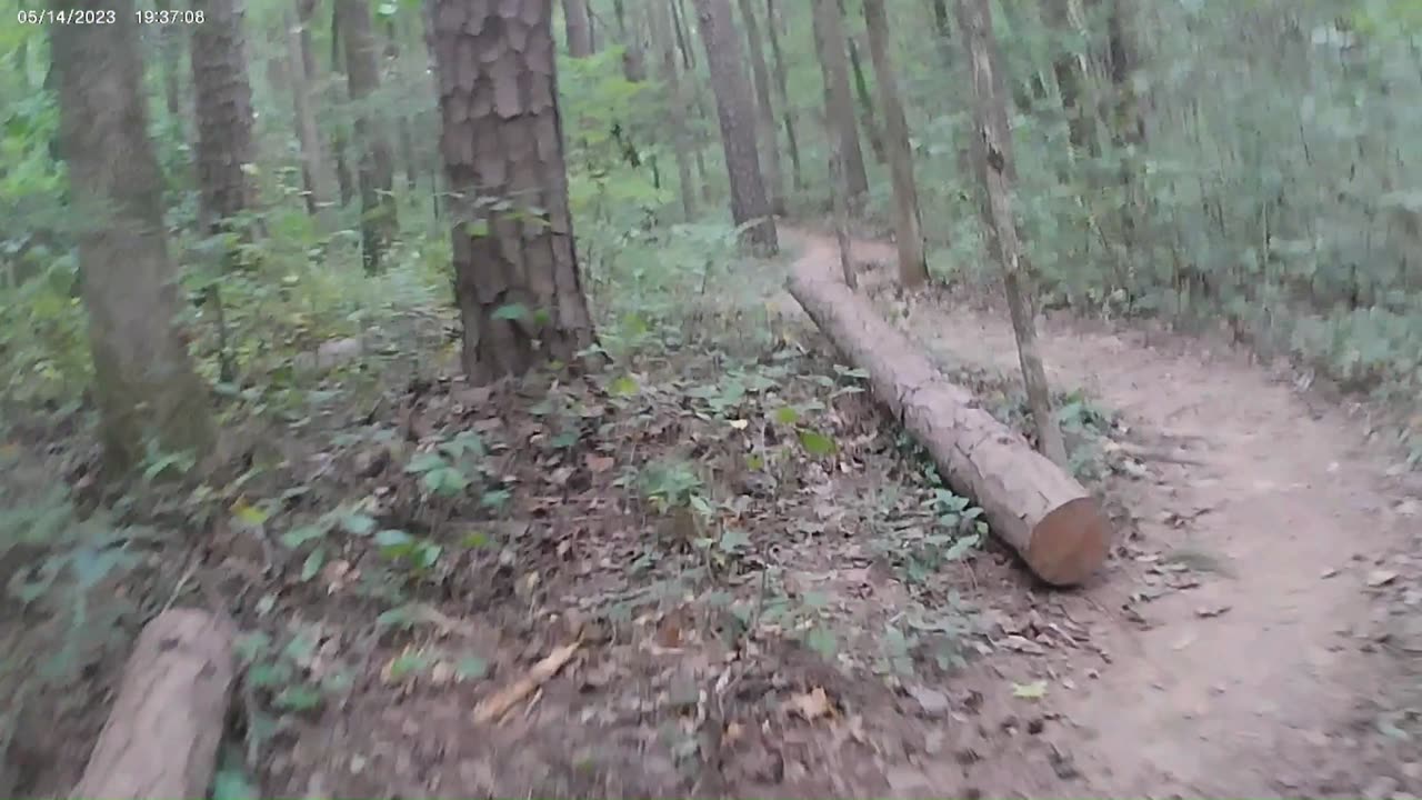 Purser Hulsey Trails