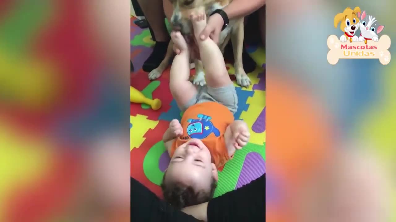 Funny babies with dogs