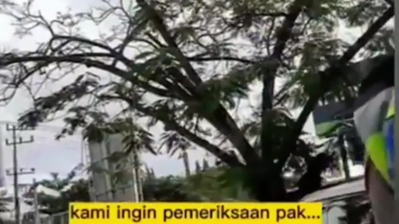 Funny Police
