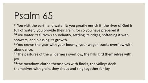 Daily Devotion Psalm 65