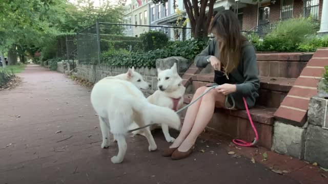 Watch Dorothy learn to trust humans!