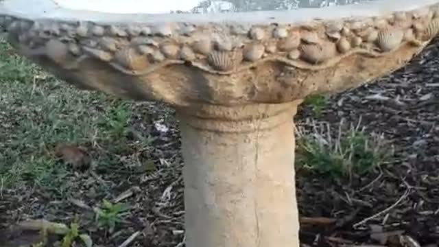 New Birdbath with seashell design