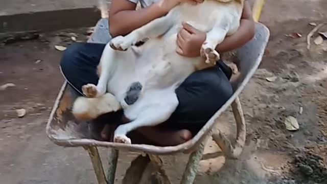 Lovly Traval