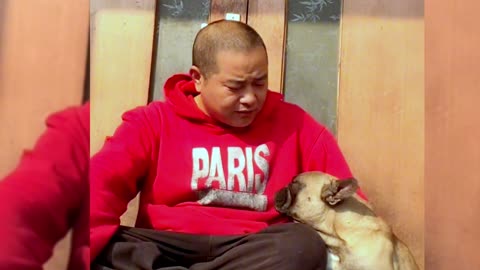 [Pet dog]Dogs are man’s most loyal friends[pug]Cute funny bulldog11