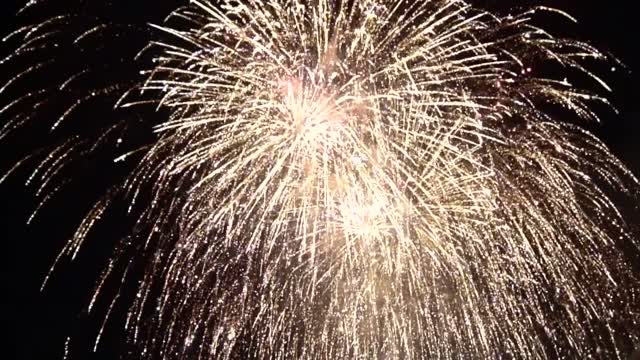 Celebrate the New Year