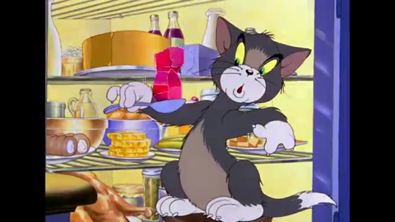 Tom and Jerry English cartoon| cartoon for kids