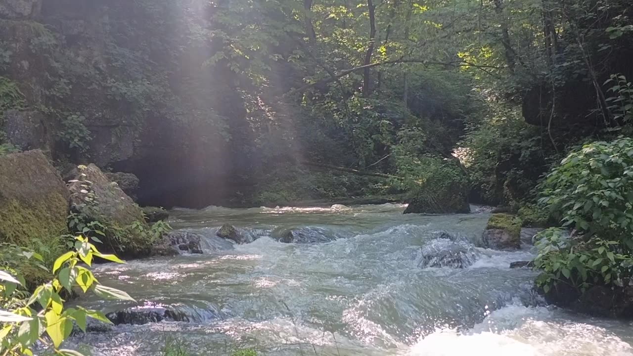 Greer Springs