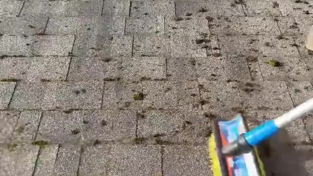 Removing Moss From Crevices Of A Roof _ Deep Cleaned _ Insider