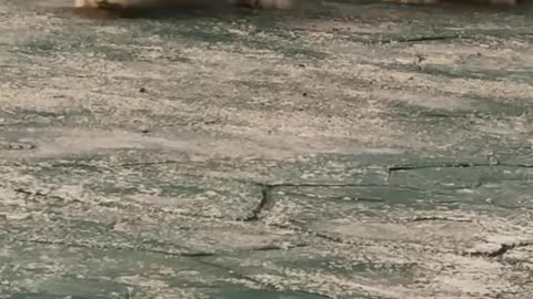 #Funny #Funny video#laugh# interesting#video#short video#short#short cut