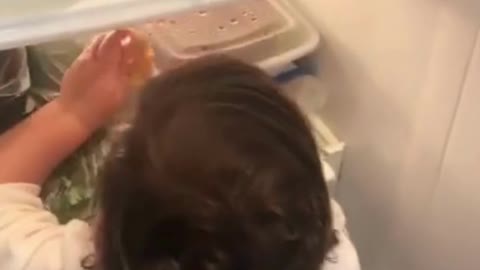 Funny Baby eating nuggets