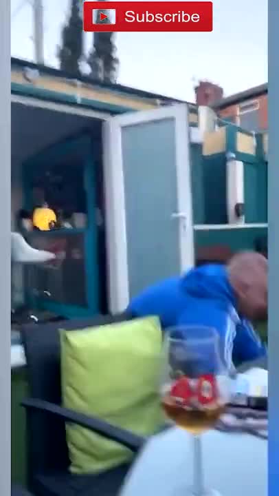 amazing funny Video Clips #shorts (178)