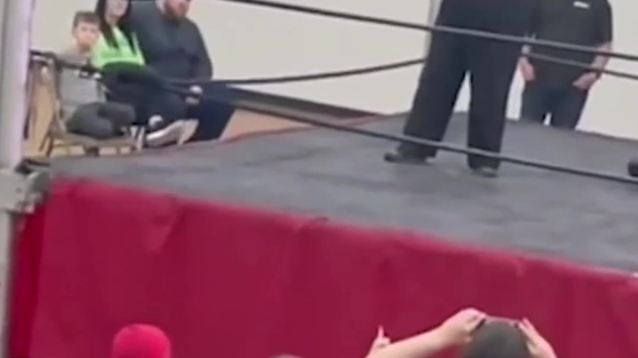 Crazy and Funny Videos!