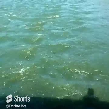 Morgan's Bridge Blackfoot River Idaho