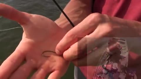 How To Start Fishing Any Lake for Beginners- Tips and Techniques