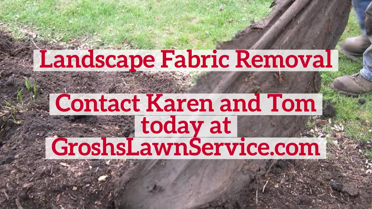 Landscape Fabric Removal