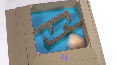 My Funny Pet Hamster in 6-Level Pyramid Maze