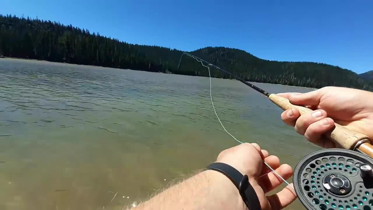 How to Catch Trout with a Drop Shot - Amazing Underwater Trout Strikes and Reactions-2