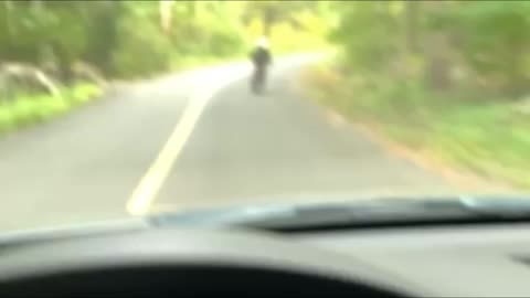 my small bike does wheelie