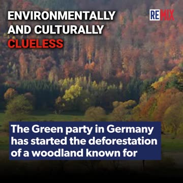 📢Remix News Break