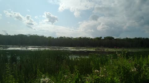 Strange Sound at Wildlife Area