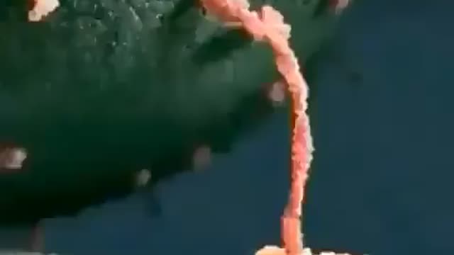 Kinesin - A motor protein