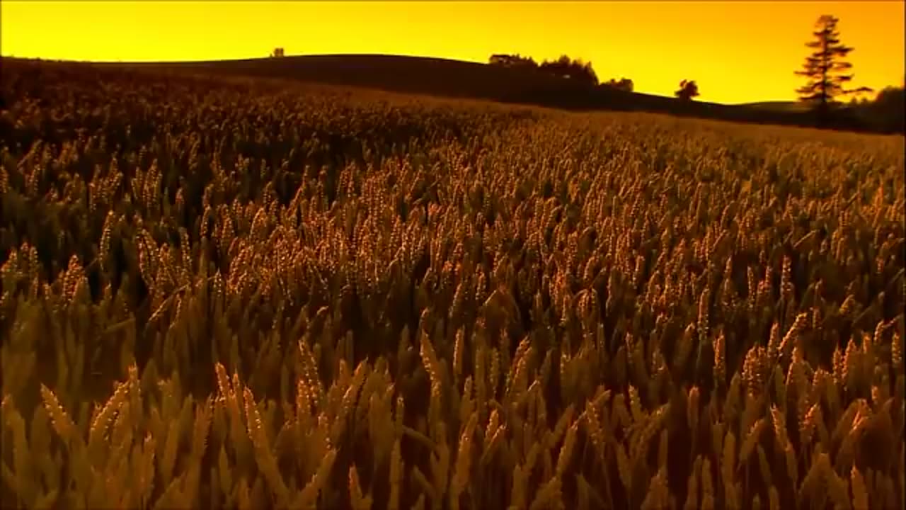 The most beautiful Quran Recitation|| Heart Touching
