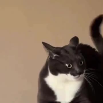 Not looking forward to Monday 😂